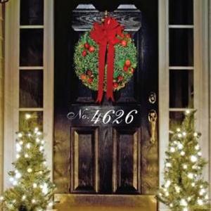 Our 1st Home Decorations- Decorative Door Number